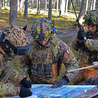 3°Alpini
